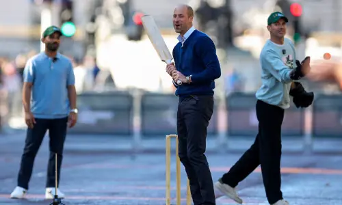 Prince William stops traffic outside Buckingham Palace for a game of cricket