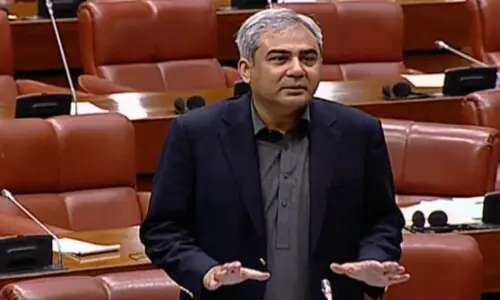 Naqvi tells Senate: There&rsquo;s no violation of constitution