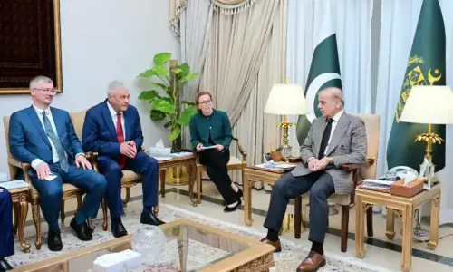 PM Shehbaz calls for expanded trade, energy ties with Russia