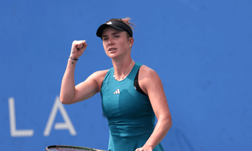 Elina Svitolina to split with fellow tennis star Monfils