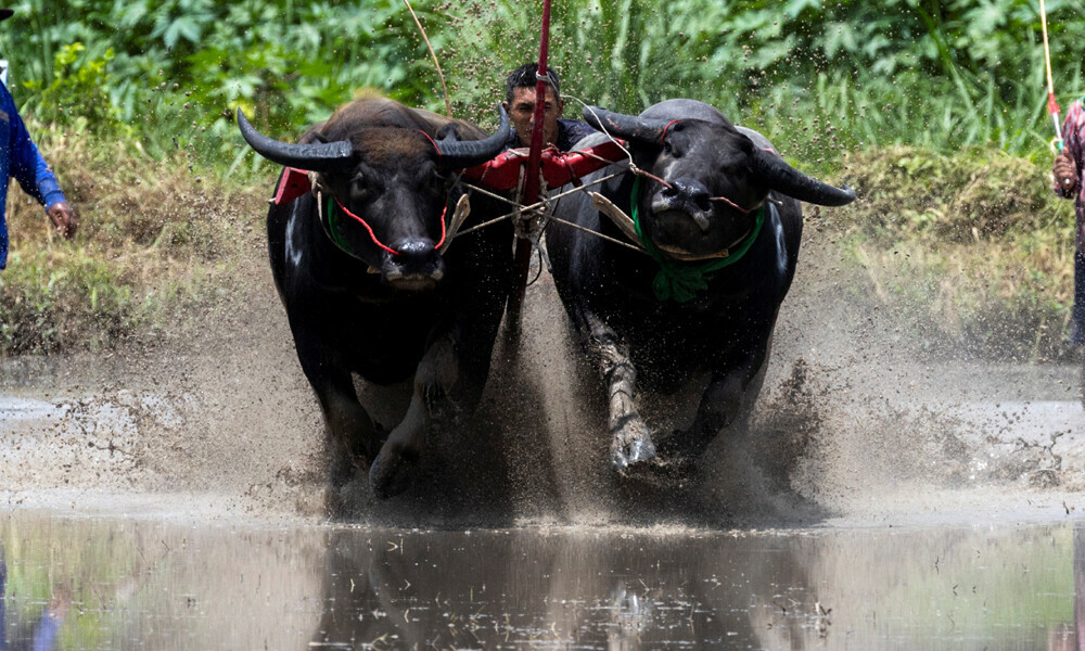 Photo: Reuters Photo: Reuters