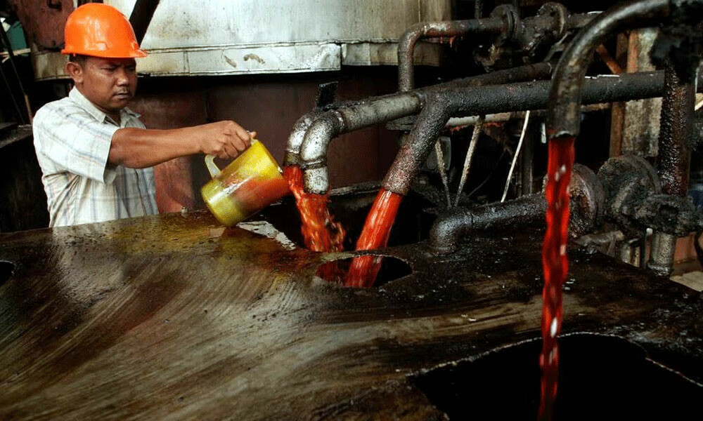 A worker checks the quality of crude palm oil (CPO) in a state CPO processing unit at Indonesia’s North Sumatra province. Photo:  Reuters