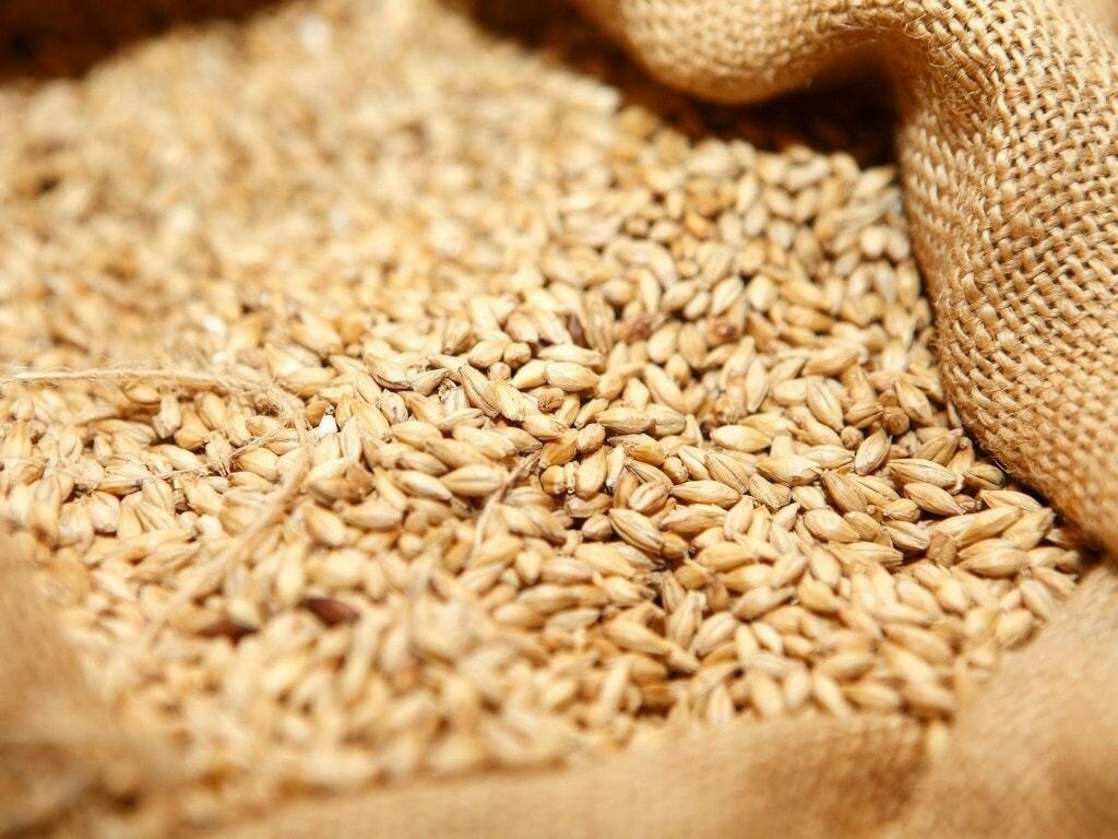 Chicago grains lower on easing war worries, fair crop weather