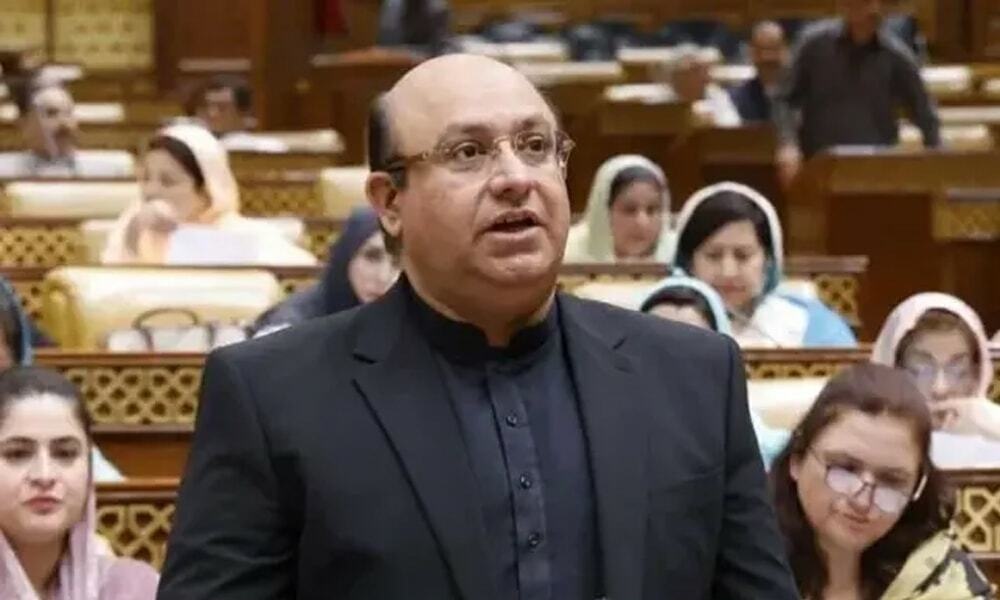 Punjab finance minister explains budgetary allocations