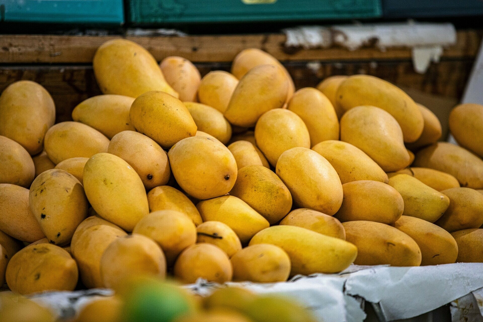 Photo: Mirpurkhas Mangoes