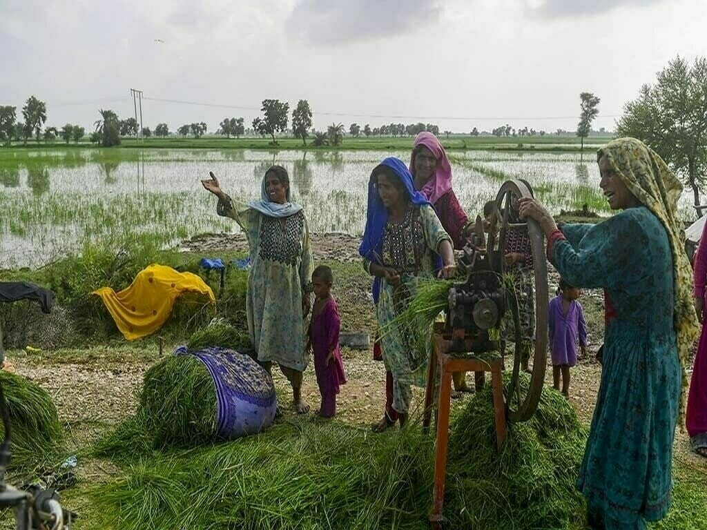 SCF equips rural women with livestock, entrepreneurial skills