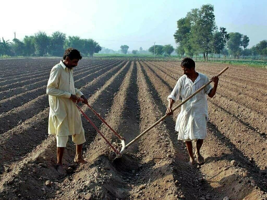 National food security demands farmers’ security