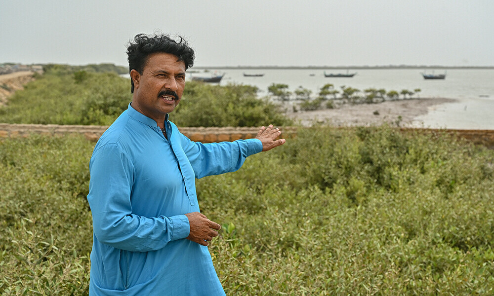 ۔