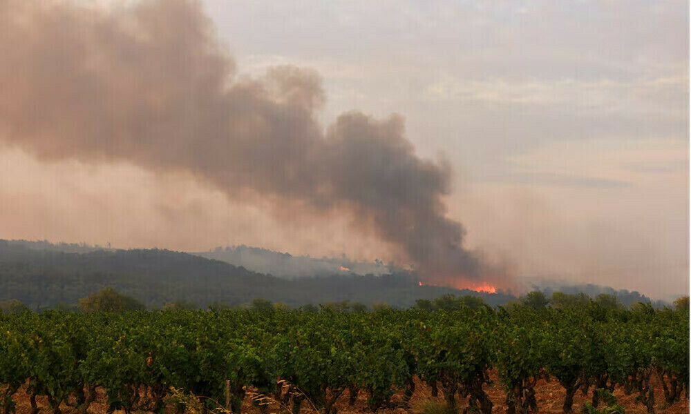 Photo: Reuters Photo: Reuters