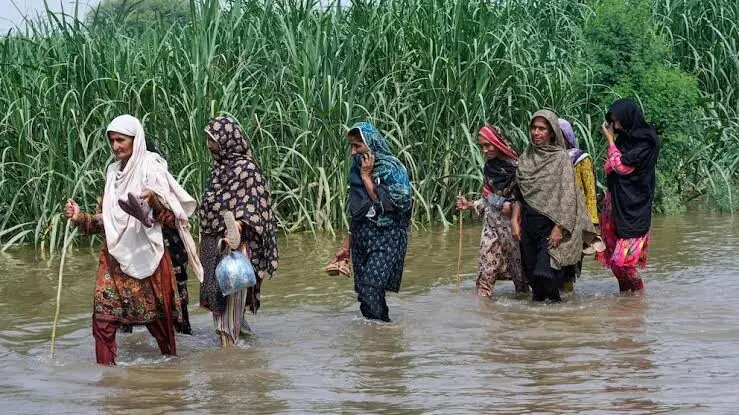 ECP postpones Punjab by-elections due to floods