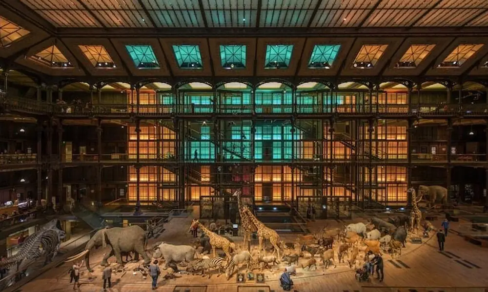 The National Museum of Natural History in Paris was robbed. The thieves stole gold estimated at 600,000 euros. Photo: X The National Museum of Natural History in Paris was robbed. The thieves stole gold estimated at 600,000 euros. Photo: X