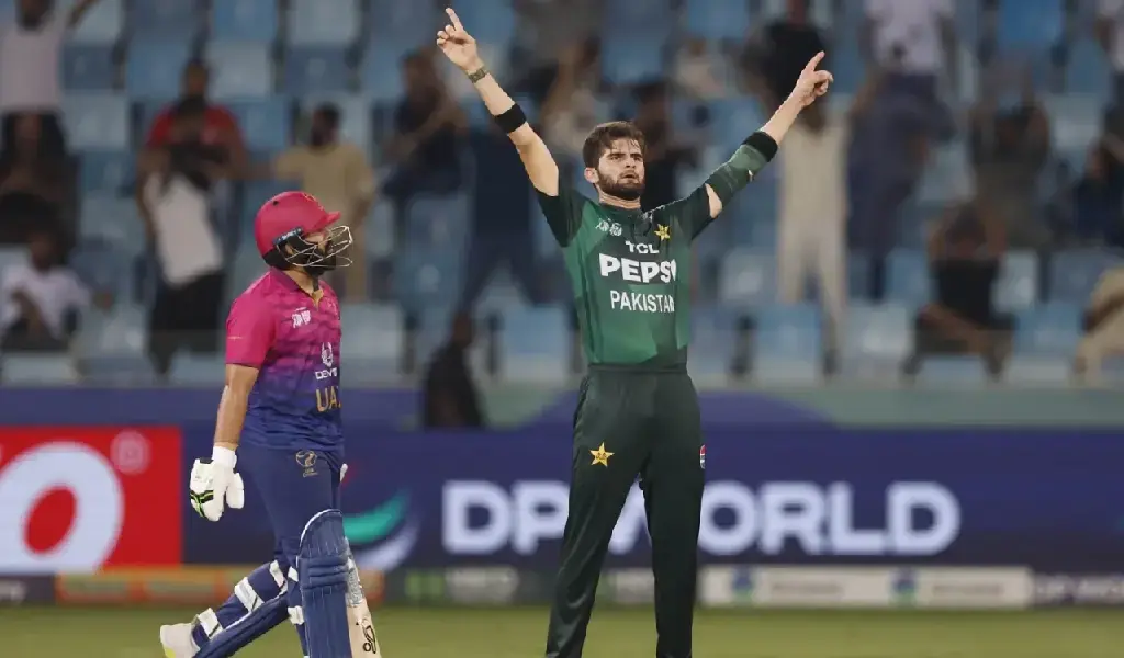 Shaheen Afridi celebrates a wicket against the UAE in an Asia Cup match. (ACC/Facebook)