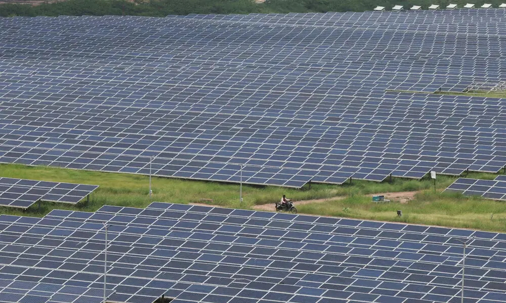 A man rides a motorcycle along the solar panels in Gujarat Solar Park also called Charanka Solar Park at Patan district in Gujarat, India September 12, 2024. REUTERS