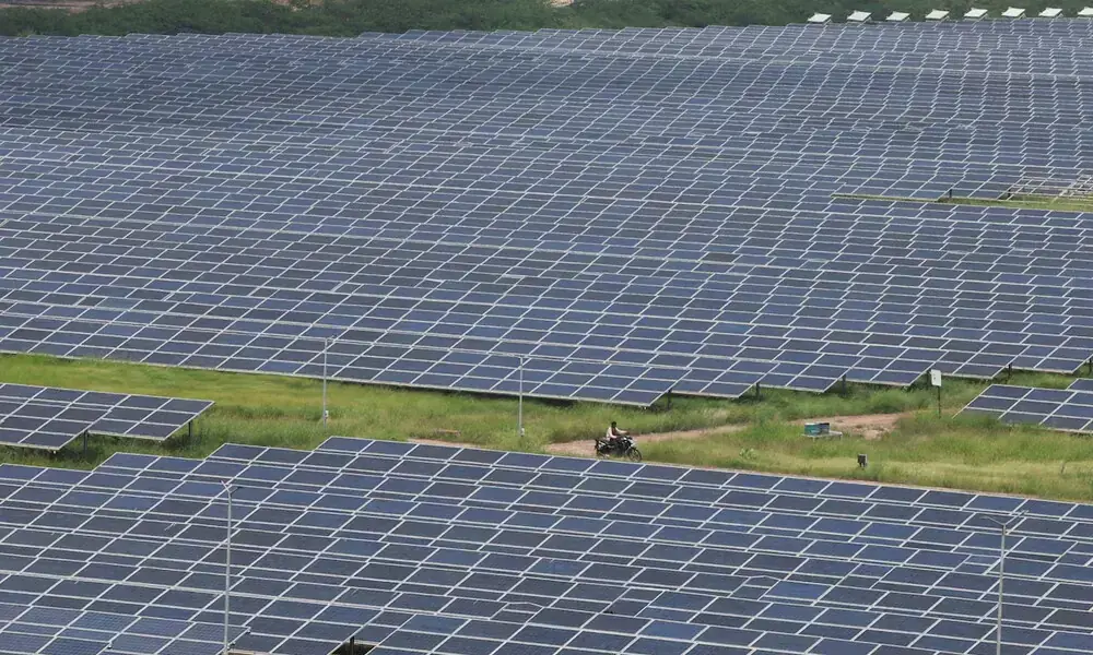 A man rides a motorcycle along the solar panels in Gujarat Solar Park also called Charanka Solar Park at Patan district in Gujarat, India September 12, 2024. REUTERS