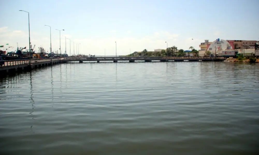 Photo: Korangi Fisheries website/File Photo: Korangi Fisheries website/File