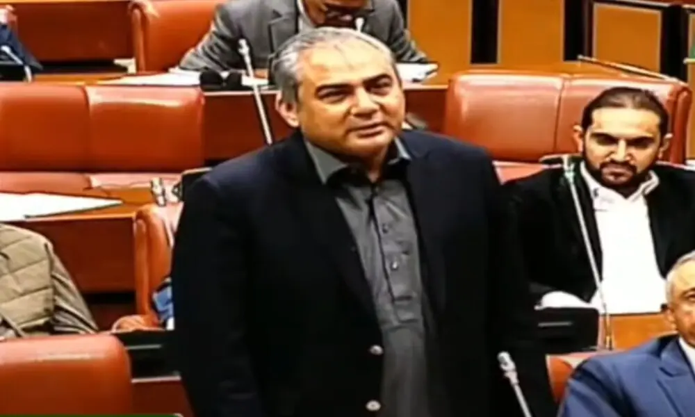 Interior Minister Mohsin Naqvi addressing a Senate session in Islamabad on November 13, 2025. Photo: Screengrab/Facebook/@MinistryofInteriorGoP