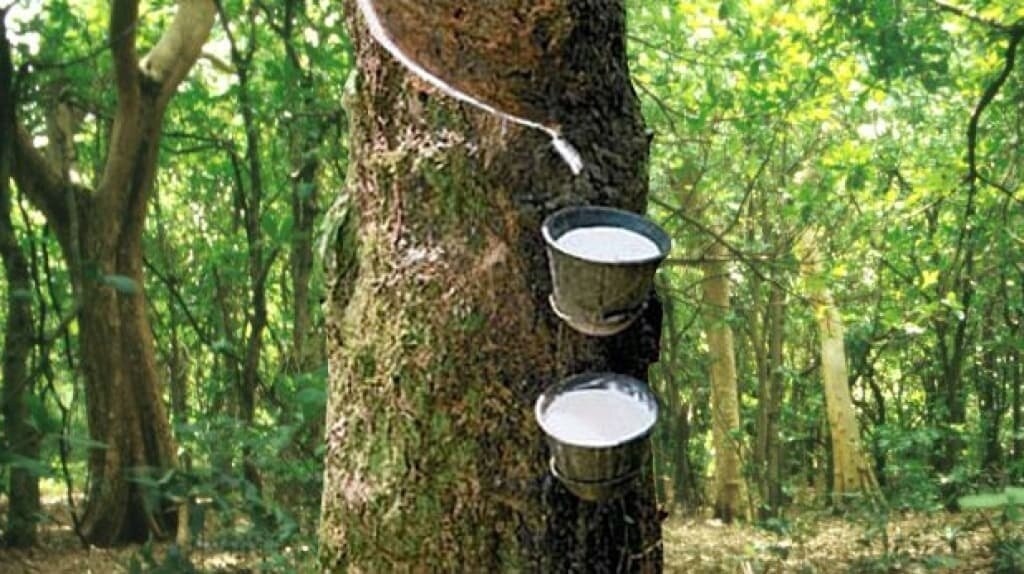 Japanese rubber futures lower on soft demand