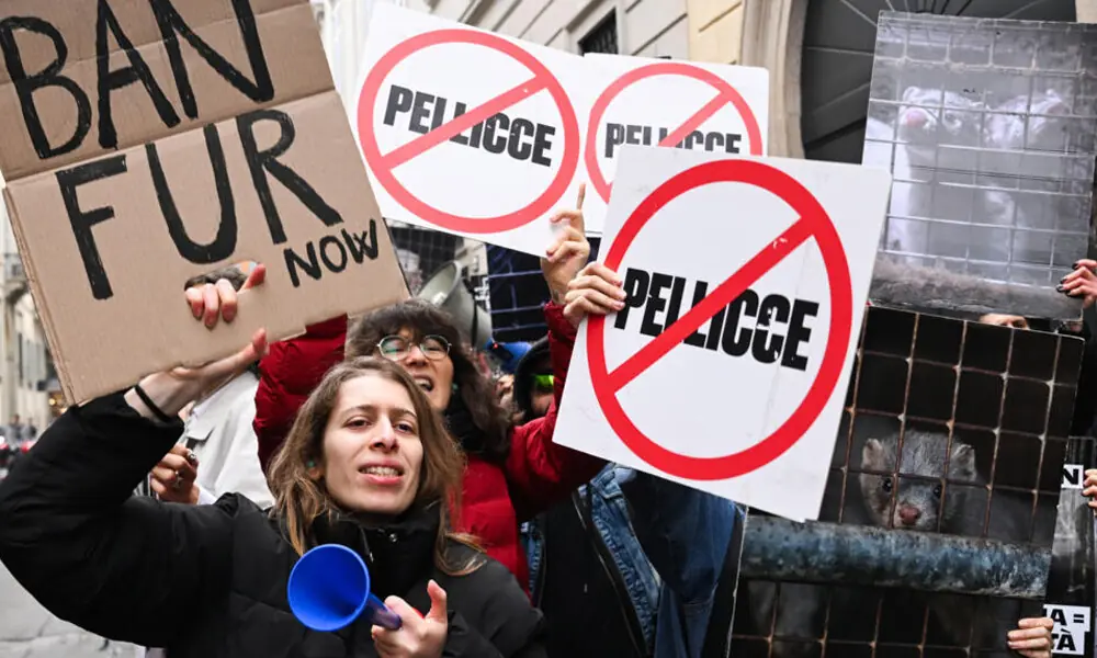 Photo: AFP Photo: AFP
