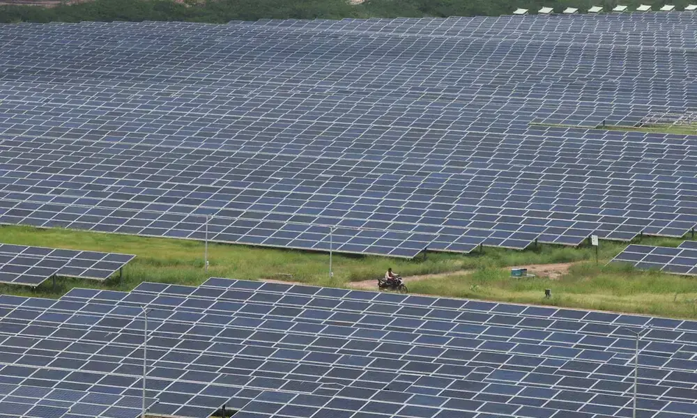 A man rides a motorcycle along the solar panels in Gujarat Solar Park also called Charanka Solar Park at Patan district in Gujarat, India September 12, 2024. File Photo: Reuters