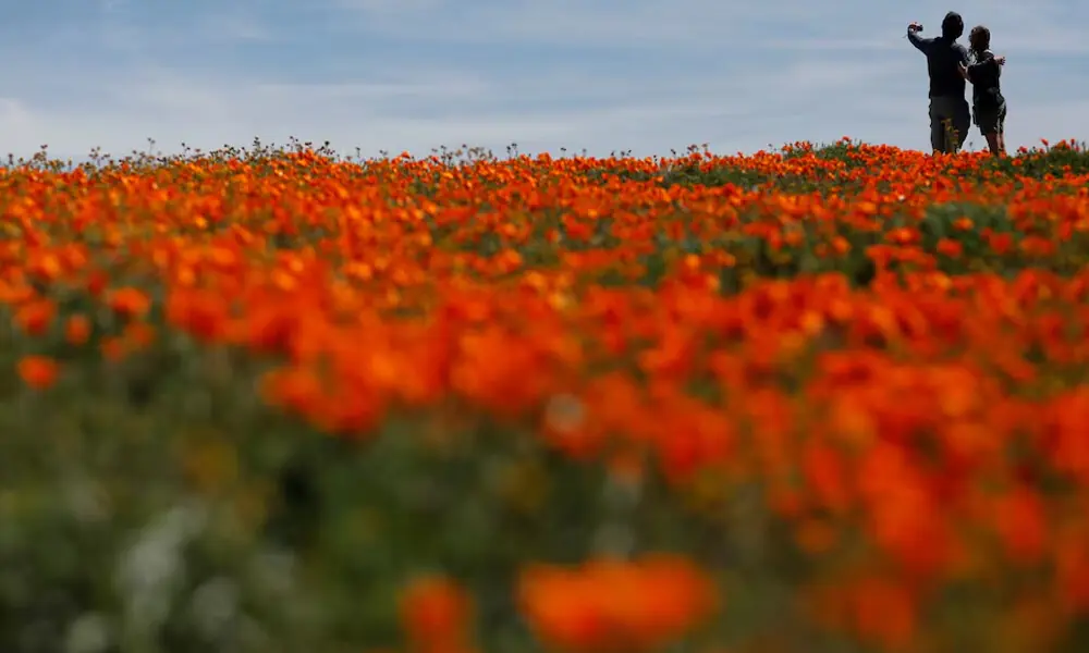 Photo: Reuters Photo: Reuters