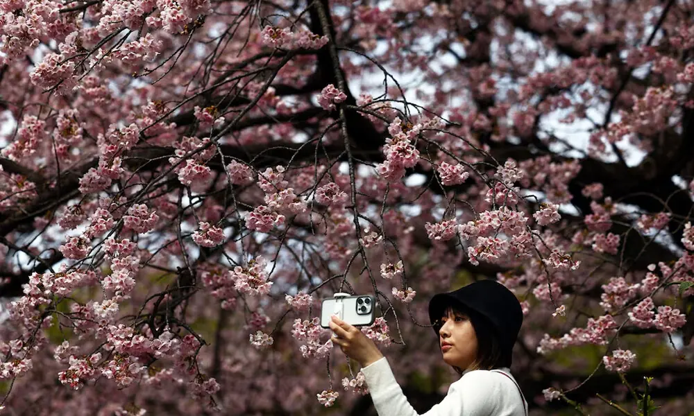 Photo: Reuters Photo: Reuters