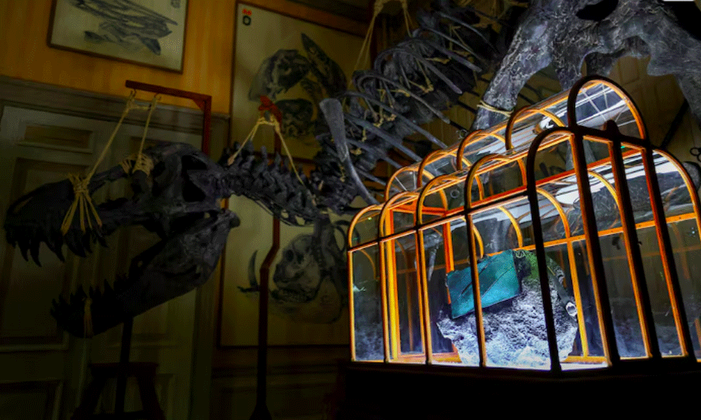 A handbag made using T. rex fossil-derived collagen is on display at Museum ArtZoo in Amsterdam, Netherlands, April 2. REUTERS A handbag made using T. rex fossil-derived collagen is on display at Museum ArtZoo in Amsterdam, Netherlands, April 2. REUTERS