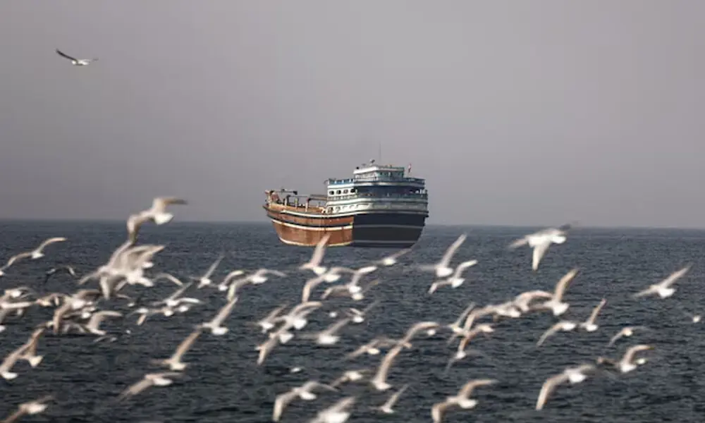 Birds fly near a boat in the Strait of Hormuz amid the U.S.-Israeli conflict with Iran, as seen from Musandam, Oman, March 2, 2026.File Photo: Reuters
