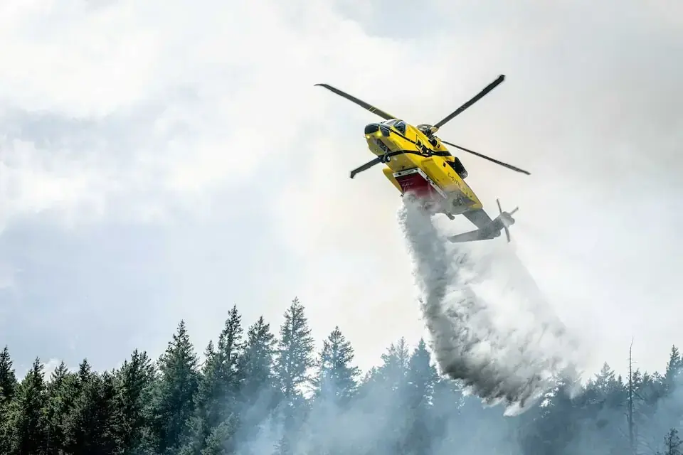 Photo: Reuters Photo: Reuters