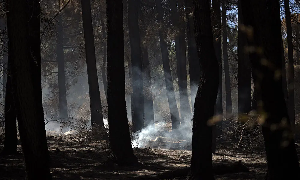 This picture shows a scorched and still smouldering forest in the wake of wildfires that have ravaged the area, near El Tiemblo, 80 kilometres west of Madrid, on July 30, 2026. Photo: AFP