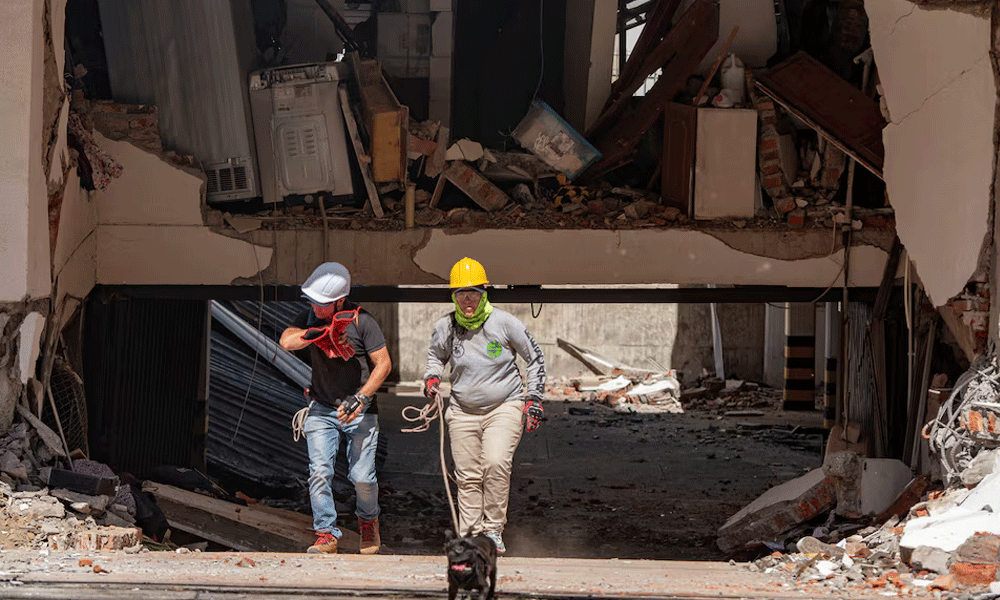 Photo: Reuters Photo: Reuters