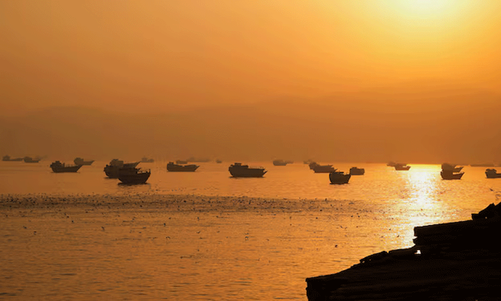 Photo: Reuters Photo: Reuters