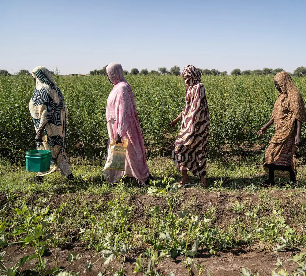 Photo: UNDP Photo: UNDP