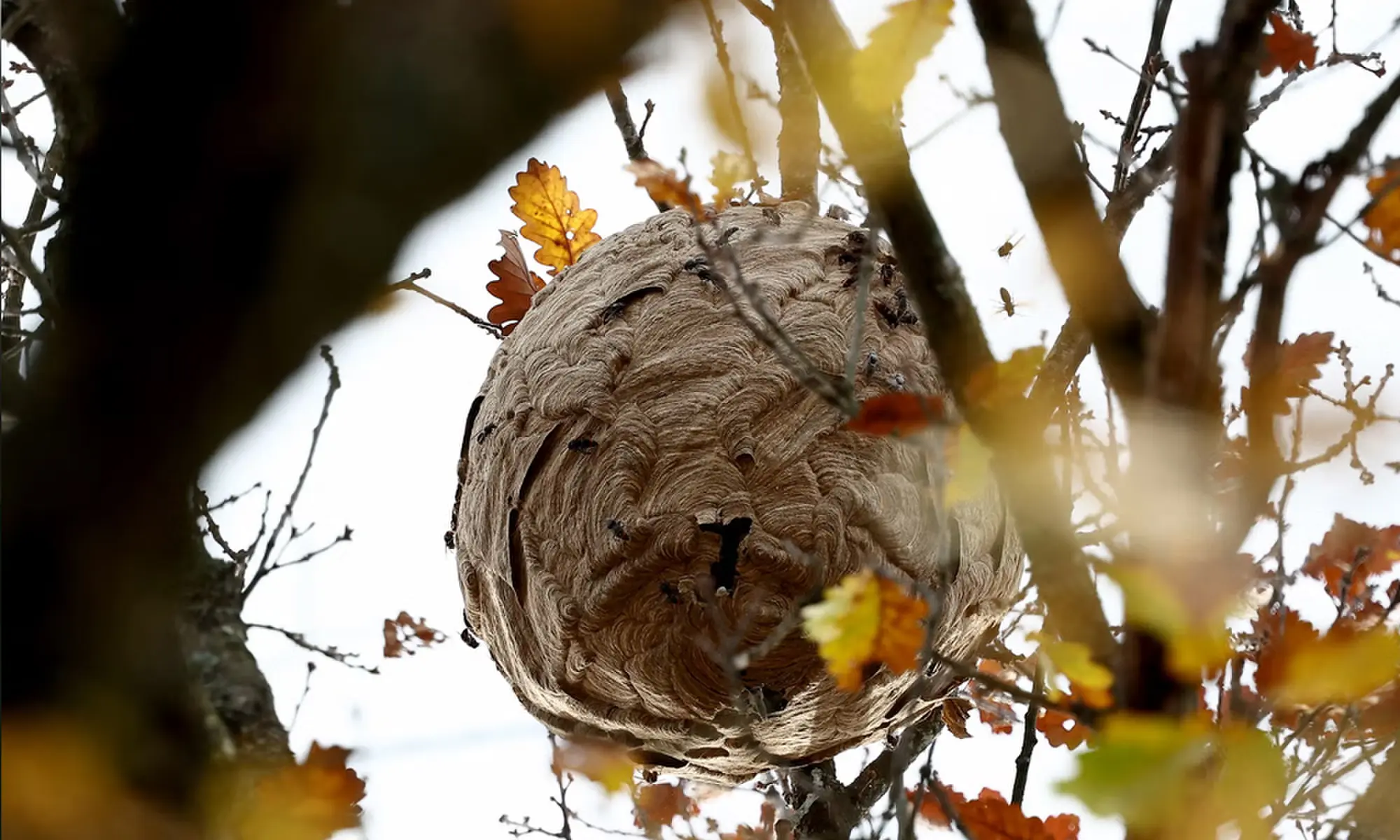Photo: AFP/File