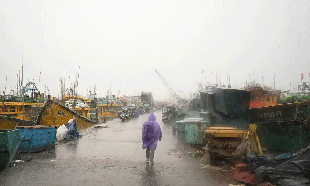 Photo: Reuters Photo: Reuters