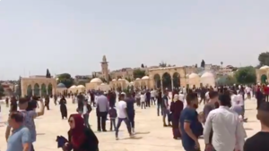 Hours after ceasefire, Israeli police attack Al-Aqsa Mosque