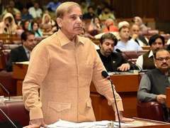 Shehbaz flays budget, calls it &lsquo;fake&rsquo;