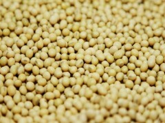 Soybeans set for weekly gain on demand prospects; wheat down Soybeans set for weekly gain on demand prospects; wheat down