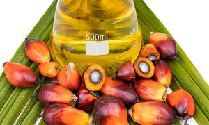 Palm oil futures rise on weather-related worries
