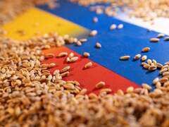 Russia suspends participation in Ukraine grain exports deal