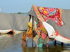 Flood-hit Pakistan seeks loss and damage &lsquo;compensation&rsquo; at COP27