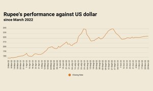 Rupee remains stable at 223.95 against US dollar
