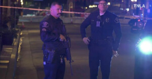Nine killed in mass shooting in Los Angeles area, police say