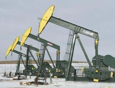 China to receive Russian Arctic oil cargo in February