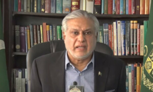 IMF deal taking time due to delay in assurance from friendly nation: Ishaq Dar