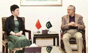 Chinese official apprised of IMF ambivalence Chinese official apprised of IMF ambivalence