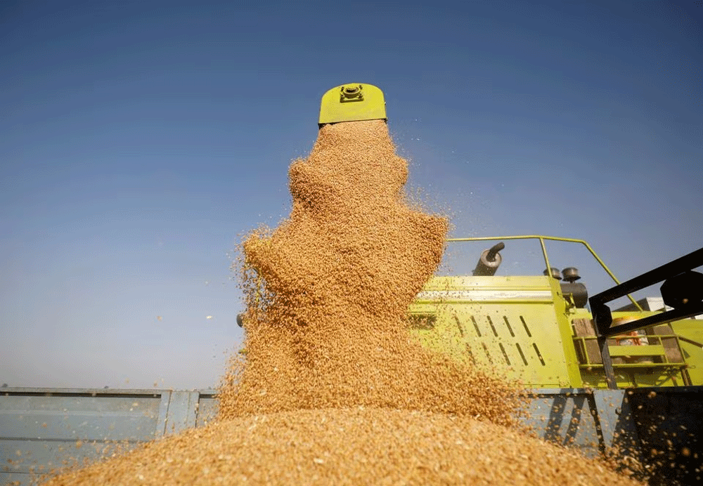 India considers wheat imports from Russia at discount to calm prices