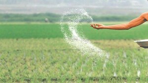 PM orders supply of urea fertilizer on controlled rates PM orders supply of urea fertilizer on controlled rates