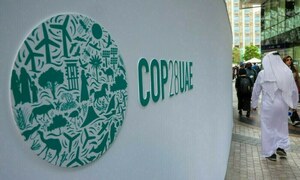 COP28 in Dubai: 5 key takeaways for Pakistan