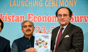 Aurangzeb says some rollovers, return of commercial bank borrowing ways to manage external debt in FY25