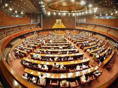 NA panel opposes govt bill aimed at allowing dual nationals to resume their Pak nationality